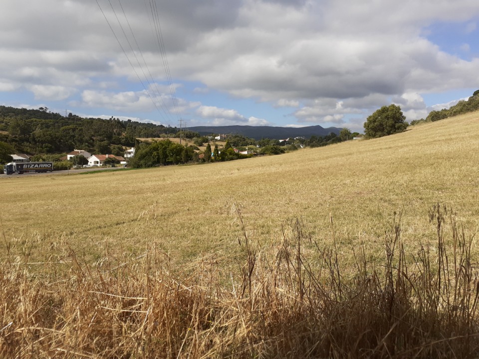 Encosta da Serra. Foto original. 2021.06.22.jpg