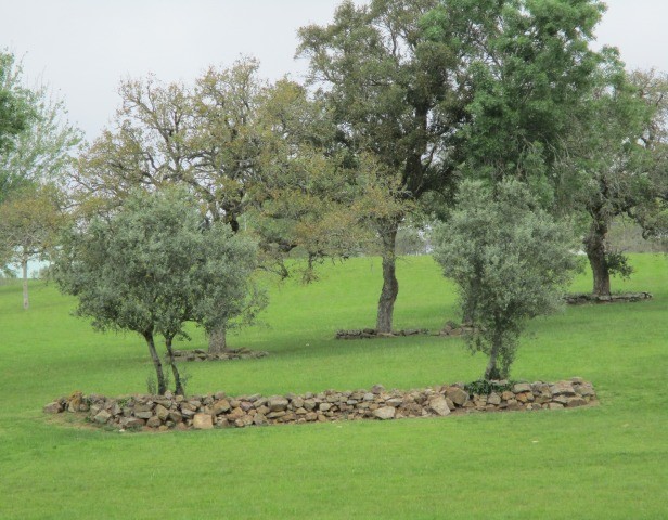 167954084_3773438232771454_1961183944620208545_n.j