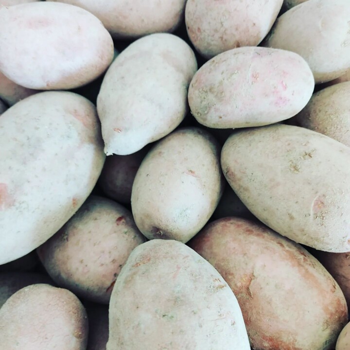 327813393_2222909211225181_4867058215162734802_n.j