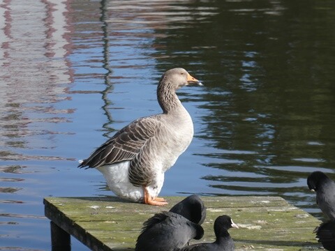 08b_Mira_Vila_e_Praia (22).JPG