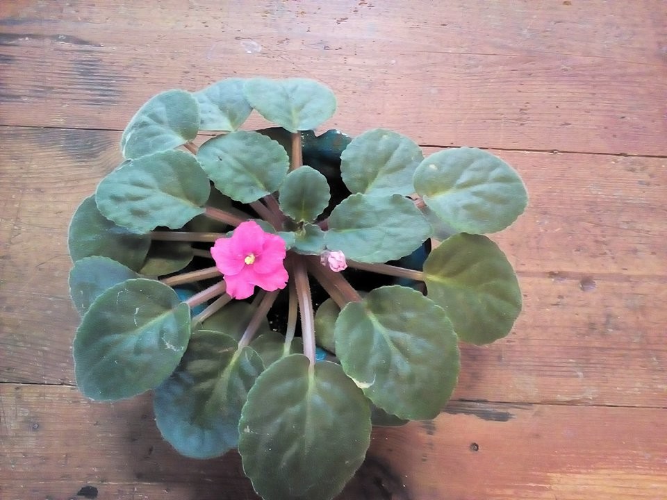 23361059_507199256327407_915419042_n.jpg 23361059_507199256327407_915419042_n.jpg