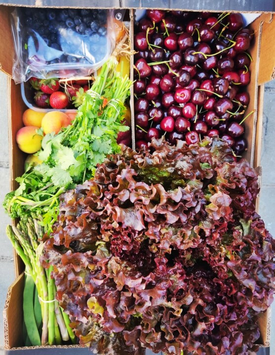 504156325_18482923735066958_5608488045976480693_n.