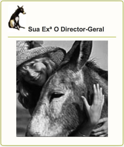 Captura de ecrã 2017-10-26, às 20.44.50.png Captura de ecrã 2017-10-26, às 20.44.50.png