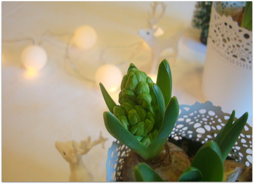 DSC07396.JPG DSC07396.JPG