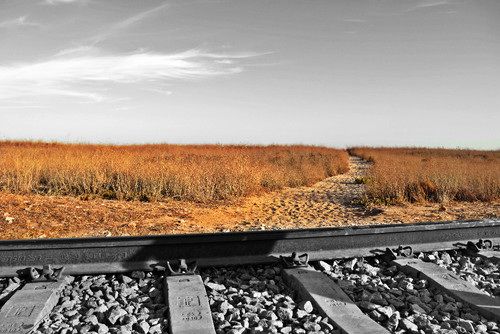 catia cardoso.jpg catia cardoso.jpg