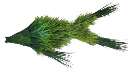 Luis patricio_Arq_Gonçalo Ribeiro Telles.png