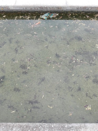 Parque da cidade (1).jpg