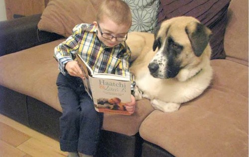 Menino e cão a ler.jpg