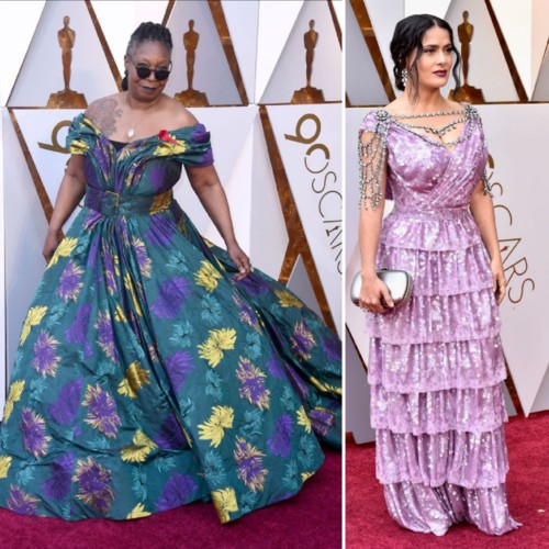 IMG_20180305_111442.jpg IMG_20180305_111442.jpg