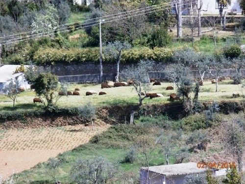 Páscoa 2015 026.jpg Páscoa 2015 026.jpg