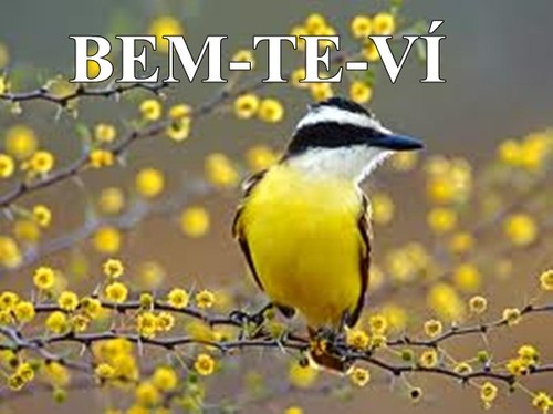 BEM-TE-VÍ