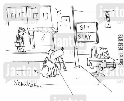 animal-kingdom-traffic-traffic_signs-sits-stay-dog