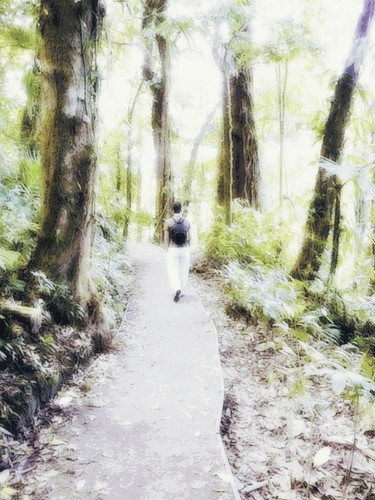 Bosque Nebuloso de Monteverde (564) cópia 4.jpg