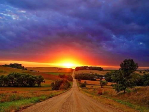 Teus raios de Sol - Alentejo.jpg