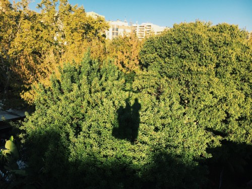 iPhone - Foto 2017-10-29 16_29_55.jpeg