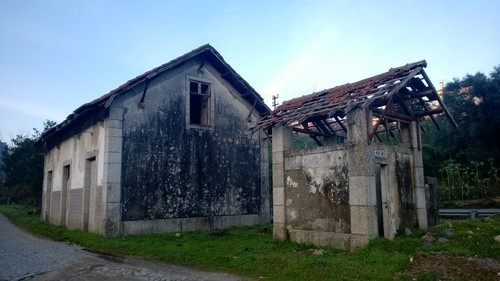 WP_20140111_002.jpg