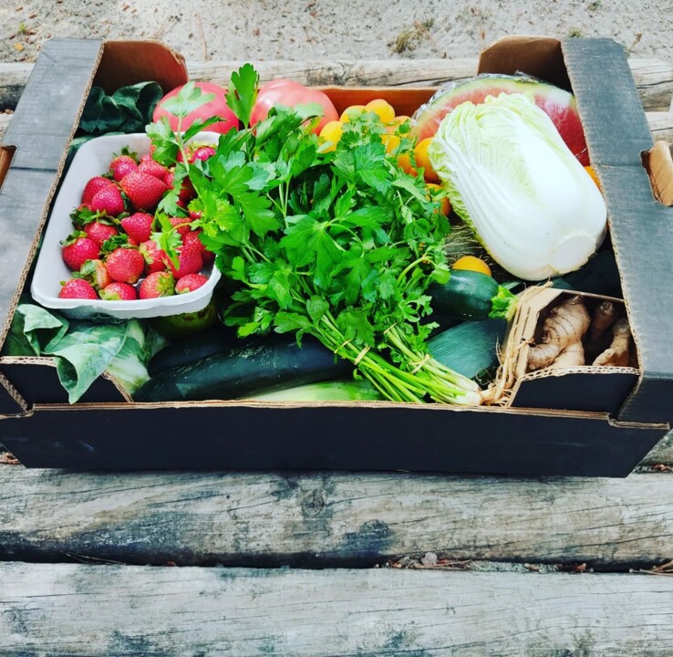 349660149_1889141068153258_3318646941501401084_n.j