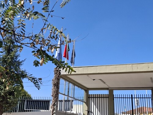 28c_Jornadas_Empreendedorismo_AE_Fajões (3).jpg