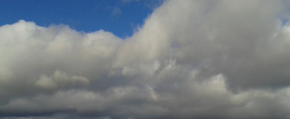 O cobertor da tarde chuvosa .jpg