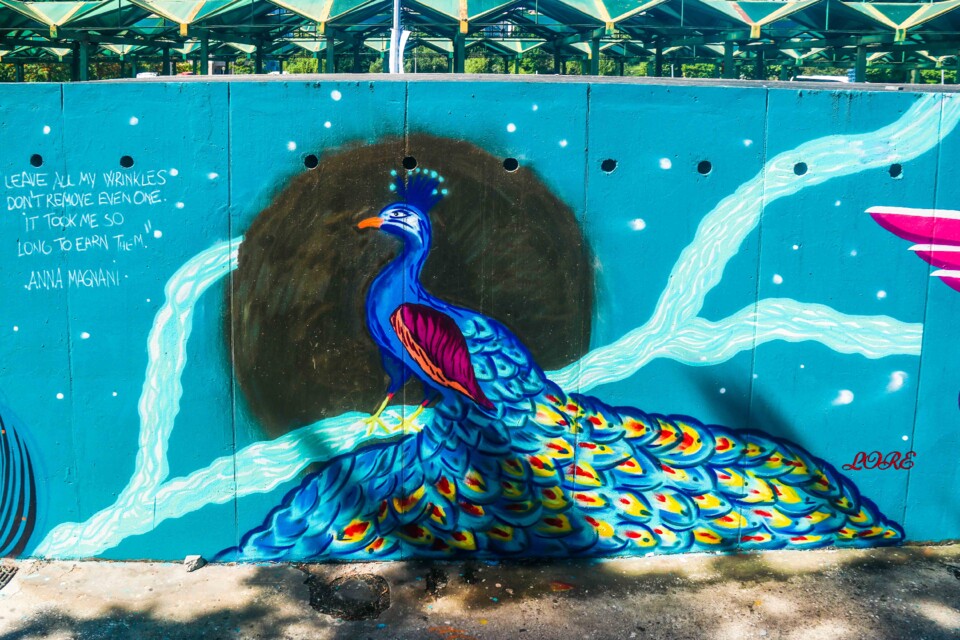 juntas hacemos 29.jpg