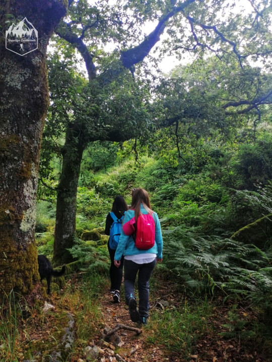 Photo_1597131837969.jpg Photo_1597131837969.jpg