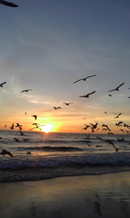 Costa Gaivotas 2020. 08. jpg