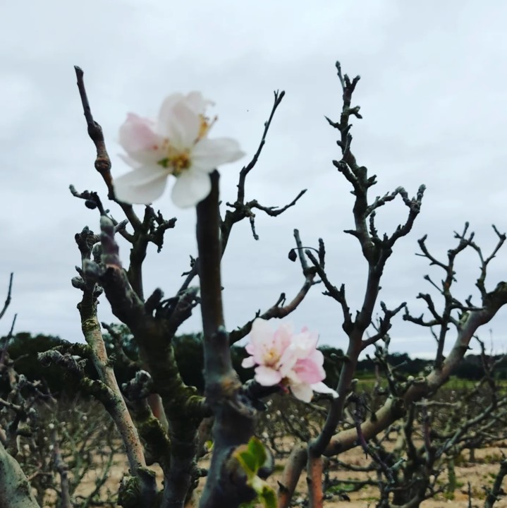 278108214_2281767375296344_6481071097237301446_n.j