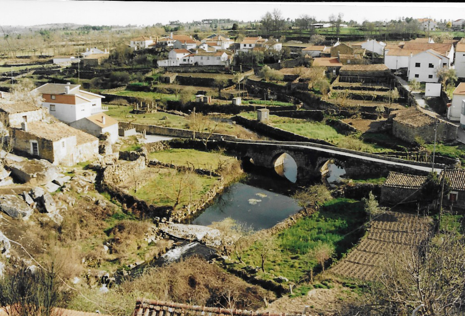Ponte .png