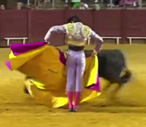 Tomás Bastos 2.09.2023.png