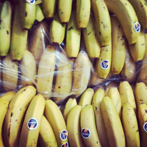 51050306_1298335540306204_8160270728042643456_n.jp