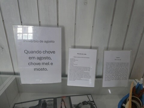 19a_Manhã_Pela_Praia_de_Mira (120).JPG