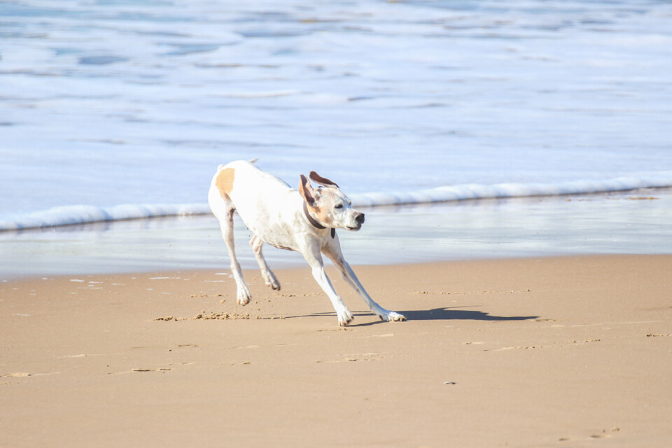 capitulo perfeito 22.jpg