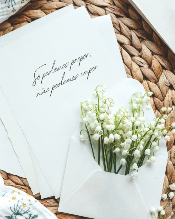 Só podemos propor, não podemos impor. (1).png