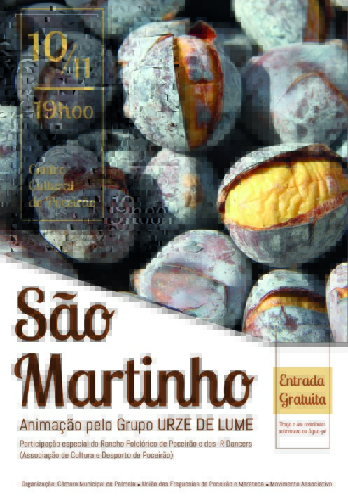 Comemorações do São Martinho.jpg