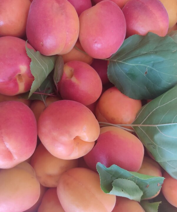 442415299_833289018828510_7587720690619181285_n.jp