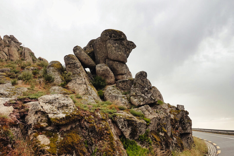 Pormenores Serra da Estrela.jpg