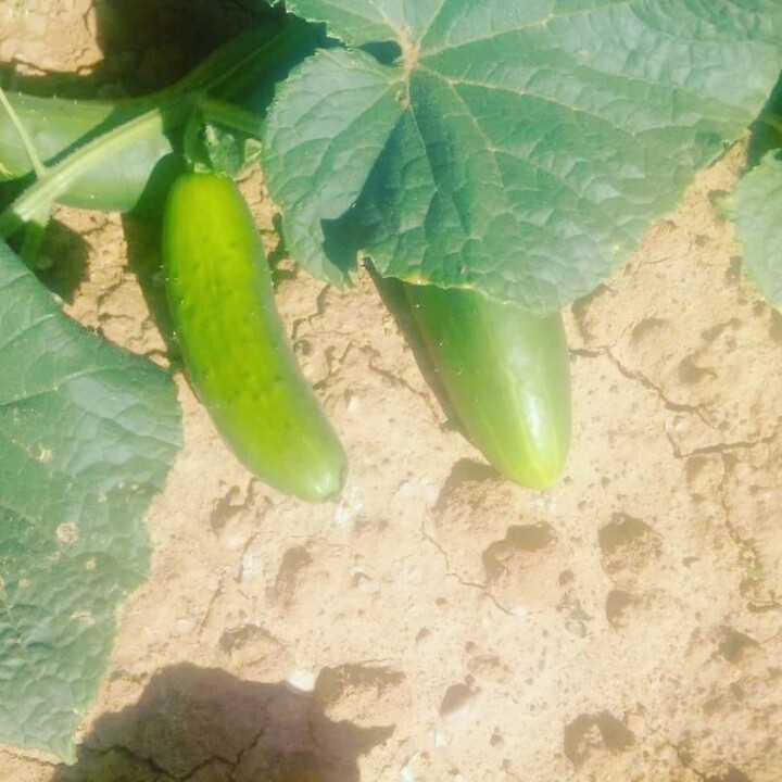 293289837_2360617160744698_8758396656908257063_n.j