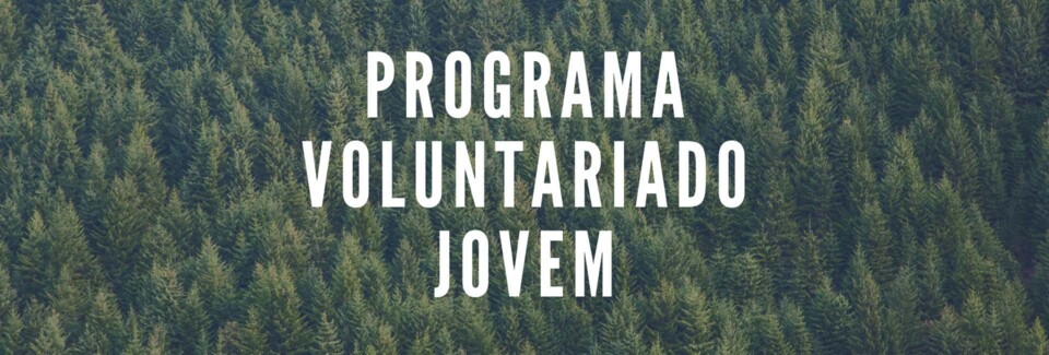 descarregar (3).jfif