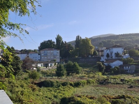 11b_Macieira_de_Cambra (24).jpg