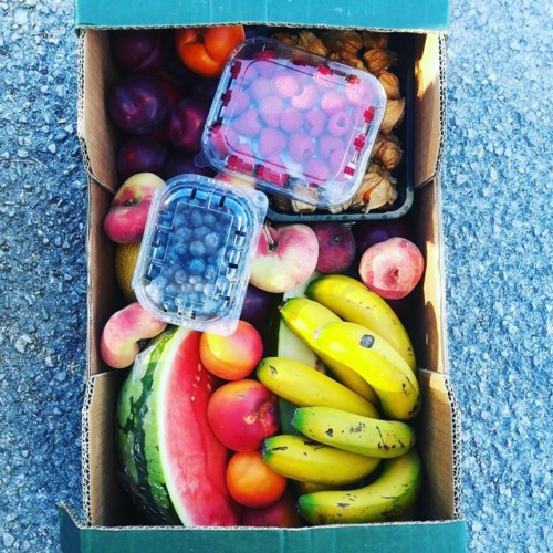 36712200_1135745363231890_2729666035476070400_n.jp