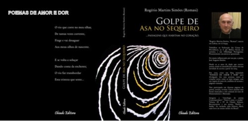 GOLPE DE ASA FOTOTOTAL.bmp.jpg