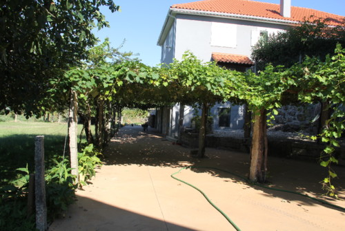 IMG_2255.jpg IMG_2255.jpg