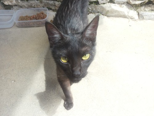 20170603_130710.jpg 20170603_130710.jpg