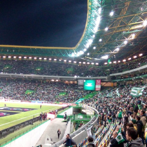 916490_1249185025098166_1540780065_n.jpg 916490_1249185025098166_1540780065_n.jpg