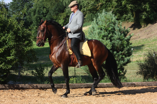 Manuel Jorge de Oliveira.png