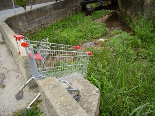 Valongo Carro de Compras Aguieira.jpg