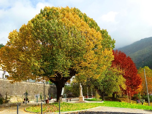 Fotos de Outono !!! 009.jpg