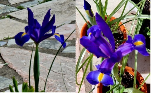 Captura de ecrã 2022-02-25 210423.jpg