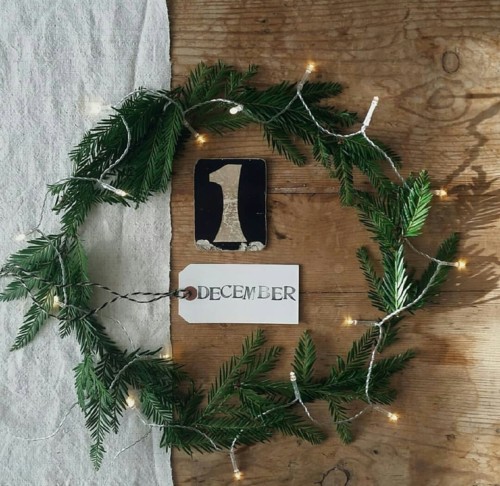 _20181212_225104.JPG