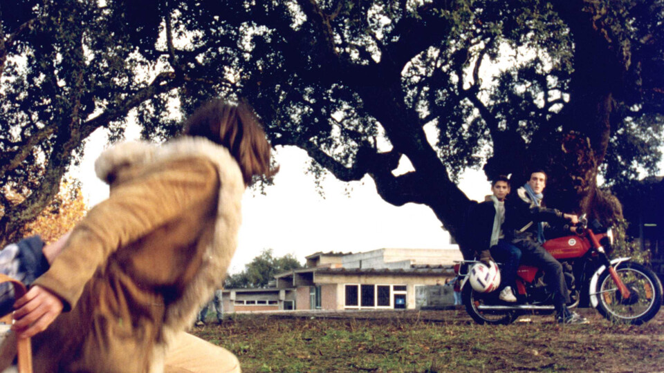 385d3e674d91c383230c723446bcda9d76ec95ffbcce9c834e